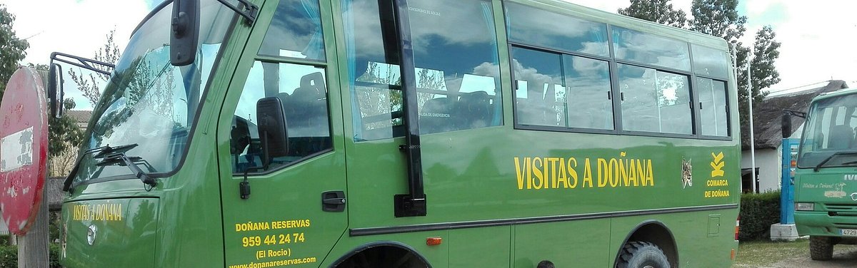 Visita en todoterreno por el Parque Nacional de Doñana